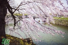 倒春寒吃什么好？倒春寒吃什么養(yǎng)生？