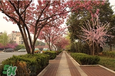 倒春寒要注意什么？倒春寒來襲的注意事項(xiàng)