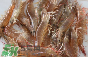 活基圍蝦怎么保存？活基圍蝦怎么處理干凈？