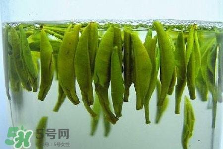 紫砂壺可以泡什么茶？紫砂壺喝什么茶好？