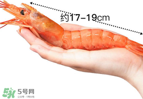 活蝦灌膠水是真的嗎？活蝦灌膠水人吃了會有什么害處？