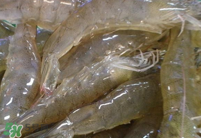 活蝦灌膠水是真的嗎？活蝦灌膠水人吃了會有什么害處？