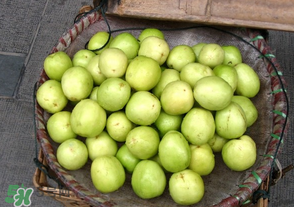 寶寶可以吃青棗嗎？寶寶可以多吃青棗嗎？