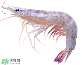 蝦變綠了能吃嗎？凍蝦變綠了能吃嗎？