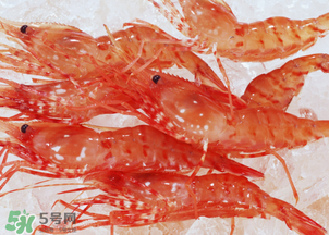 蝦凍了一年還能吃嗎？蝦凍了半年還能吃嗎？