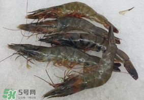 青蝦變黑了還能吃嗎？青蝦為什么變黑？