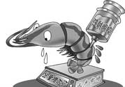 活蝦灌膠水是真的嗎？活蝦灌膠水人吃了會有什么害處？