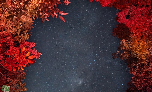 紅棕色是什么顏色？紅棕色口紅試色