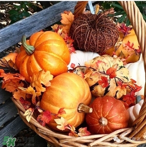 豆沙色和南瓜色的區(qū)別 豆沙色和南瓜色哪個好看？