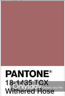 干玫瑰色適合什么膚色？干玫瑰色口紅適合黃皮嗎？