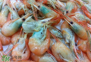 蝦變綠了能吃嗎？凍蝦變綠了能吃嗎？