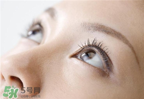 脂肪?？梢杂冕樚舻魡幔恐玖？梢宰约禾魡幔?></p><h3</div>
         			<p class=