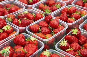 草莓爛了點皮可以吃嗎？草莓表皮發(fā)白是爛了嗎？