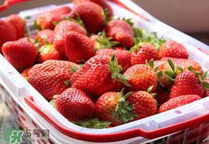 草莓爛了點皮可以吃嗎？草莓表皮發(fā)白是爛了嗎？