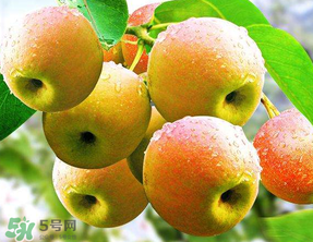 南國梨為什么有酒味？南果梨有酒味能吃嗎？