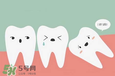 智齒會一直長嗎？智齒會停止生長嗎？