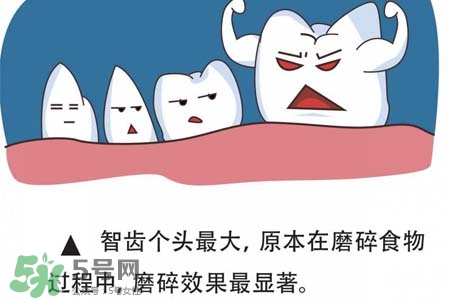 智齒經(jīng)常發(fā)炎怎么辦？智齒反復(fù)發(fā)炎腫痛怎么辦？