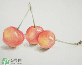 櫻桃有點苦怎么回事？櫻桃有點苦可以吃嗎？