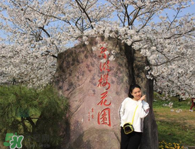 2017年武大櫻花怎么預(yù)約？2017年武大櫻花預(yù)約網(wǎng)址