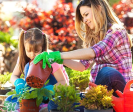 3月份適合種什么花？3月份種什么花？