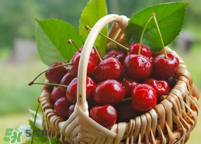 櫻桃發(fā)霉還能吃嗎？櫻桃長霉還能吃嗎？