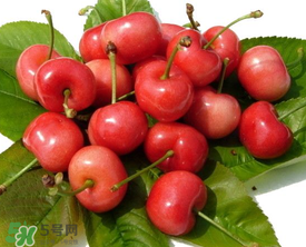 櫻桃用鹽水泡多久？櫻桃為什么要用鹽水泡？