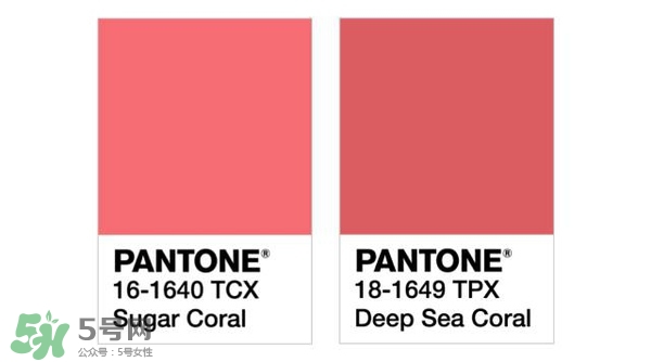 珊瑚紅口紅是什么顏色？珊瑚紅口紅試色