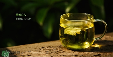 荷葉減肥茶配方 荷葉減肥茶效果 荷葉減肥茶配方 荷葉減肥茶效果