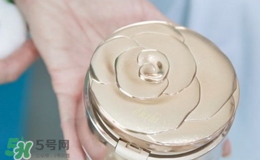 dicila蒂思嵐玫瑰蜜粉散粉怎么樣？dicila玫瑰蜜粉散粉好用嗎？