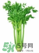 負卡路里的食物有哪些？負卡路里食物真的吃不胖嗎？
