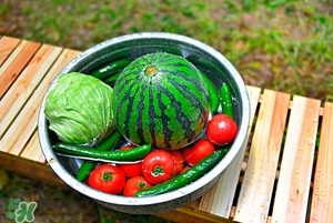 上火吃是什么降火快 春天吃什么降火最快 上火吃是什么降火快 春天吃什么降火最快