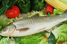 草魚能生吃嗎？草魚可以直接生吃嗎？