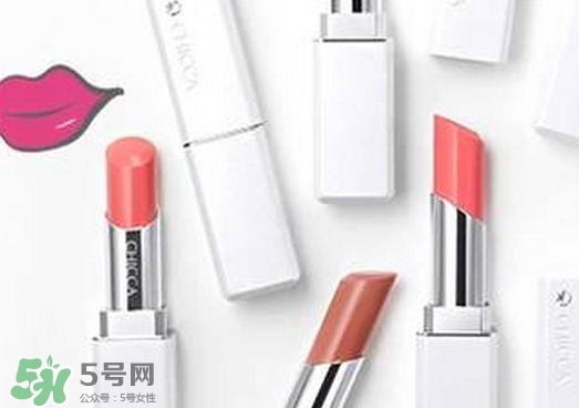 2017日系口紅排行榜_2017日系口紅10強(qiáng) 2017日系口紅排行榜_2017日系口紅10強(qiáng)