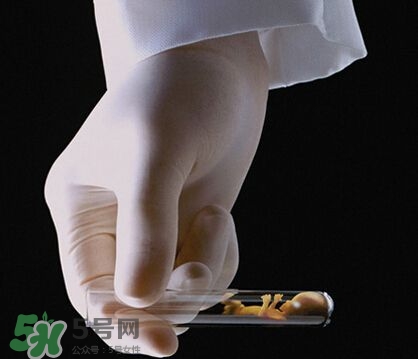 試管嬰兒的具體步驟 醫(yī)院做試管嬰兒步驟 試管嬰兒的具體步驟 醫(yī)院做試管嬰兒步驟