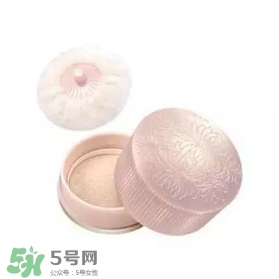 2017珠光散粉哪個牌子好？2017珠光散粉推薦