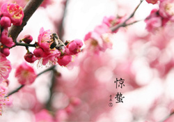 驚蟄如何養(yǎng)生？驚蟄前后如何養(yǎng)生？