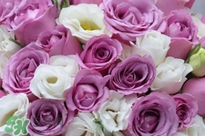 4月份適合種什么花？四月份種什么花好？