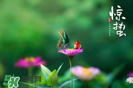 驚蟄如何養(yǎng)生？驚蟄前后如何養(yǎng)生？