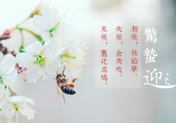 驚蟄怎么打小人？驚蟄如何打小人？