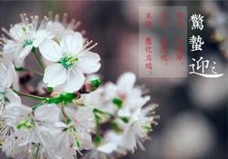 驚蟄為何要打小人？驚蟄為什么要打小人？