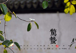 驚蟄可以動針線嗎？驚蟄為什么不動針線？