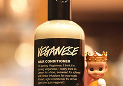 lush護發(fā)素哪個好？lush護發(fā)素推薦