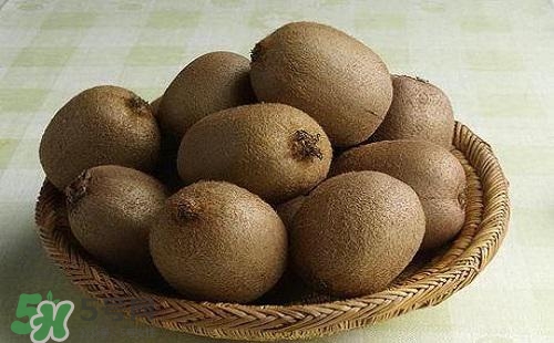 獼猴桃可以做面膜嗎？獼猴桃怎么做面膜？