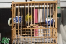 禽流感期間能接觸鳥糞嗎？碰到鳥糞會(huì)得禽流感嗎？