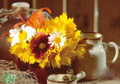 花粉過敏會(huì)遺傳嗎？花粉過敏為什么會(huì)遺傳？