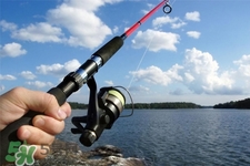 三月份可以釣魚了嗎？三月份好釣魚嗎？