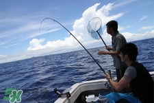 三月份可以釣魚了嗎？三月份好釣魚嗎？