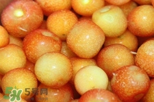 白玉櫻桃是什么？白玉櫻桃能吃嗎？