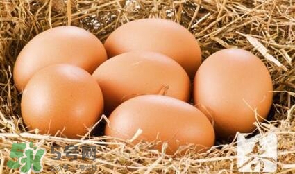 酒釀蛋真能豐胸嗎？酒釀蛋怎么吃豐胸？