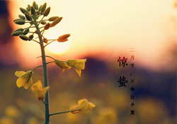 驚蟄能去廟里祈福嗎？驚蟄要去廟里祈福嗎？